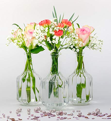 casa-vetro 6 o 12 x Piccoli vasi Bottiglie di Vetro Halsi Bottiglie di Vetro Landhaus Vintage Vaso Bottiglia Trasparente Mini Bottiglie di Latte Decorative Bianco, 12 x