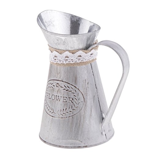 Househome annaffiatoio vaso di fiori vaso di fiori giardino metallo annaffiatoio bollitore retro vintage ferro vaso annaffiatoi per giardinaggio o composizioni floreali