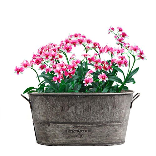 Lembeauty retro ferro vaso da fiori per interni ed esterni da tavolo vaso piante grasse vaso per home Garden Decor (non incluso)