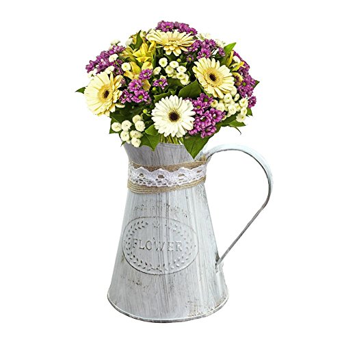 Sue supply shabby chic rustico stile mini metallo brocca vaso brocca vaso can Holder for home Decoration