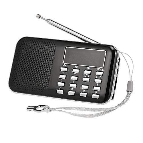 Docooler Mini FM Radio Altoparlante Digitale Portatile Y-896 da 3 W Altoparlante MP3 Lettore Audio Ad Alta fedeltà qualità Audio con Schermo da 2 Pollici Supporto USB Carta TF AUX-in Uscita Cuffia