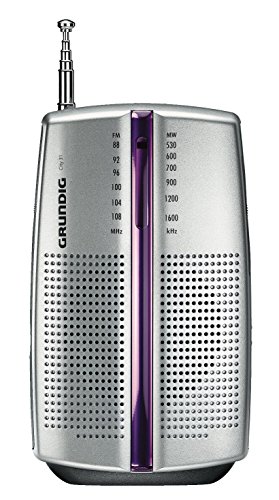 Grundig GRN0290 PR 3201 City Boy 31- Radio Portatile (Silver)