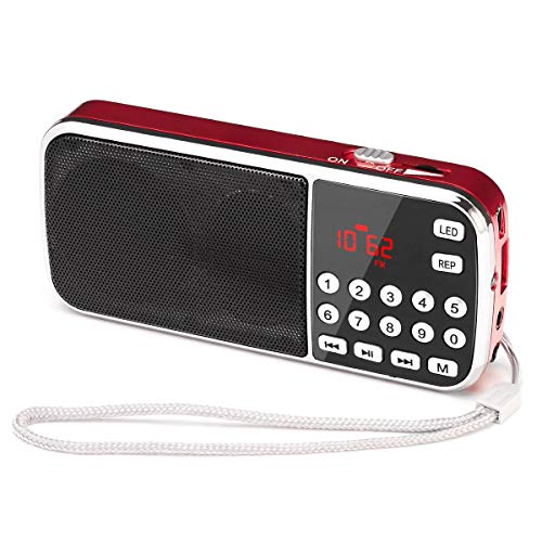 Radio FM/MP3/USB/SD/TF Portatile PRUNUS con la Funzione di Torcia D’emergenza, con L’antenna Nascosta. Memorizzazione Automatica Delle Stazioni Radio. (Senza la Funzione di Memoria Manuale)