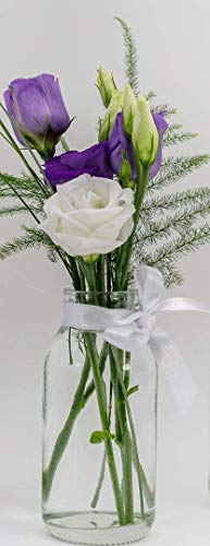 casa-vetro 12 x piccoli vasi di vetro bottiglie decorazione Weithals-100-TR incluso fiocco rustico vintage vaso trasparente Mini decorative, bianco, 12 Stück Weiss