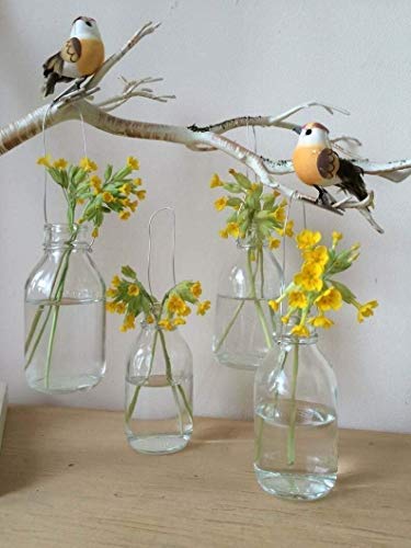 Homes on Trend  Set di 4 vasi da appendere in vetro per latte decorazione per matrimoni ricevimenti centrotavola vintage trasparente Shaker large Trasparente